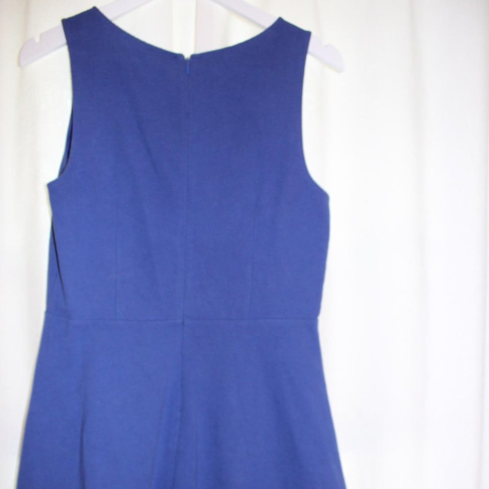 Ann Taylor Loft Royal Blue Shift Dress